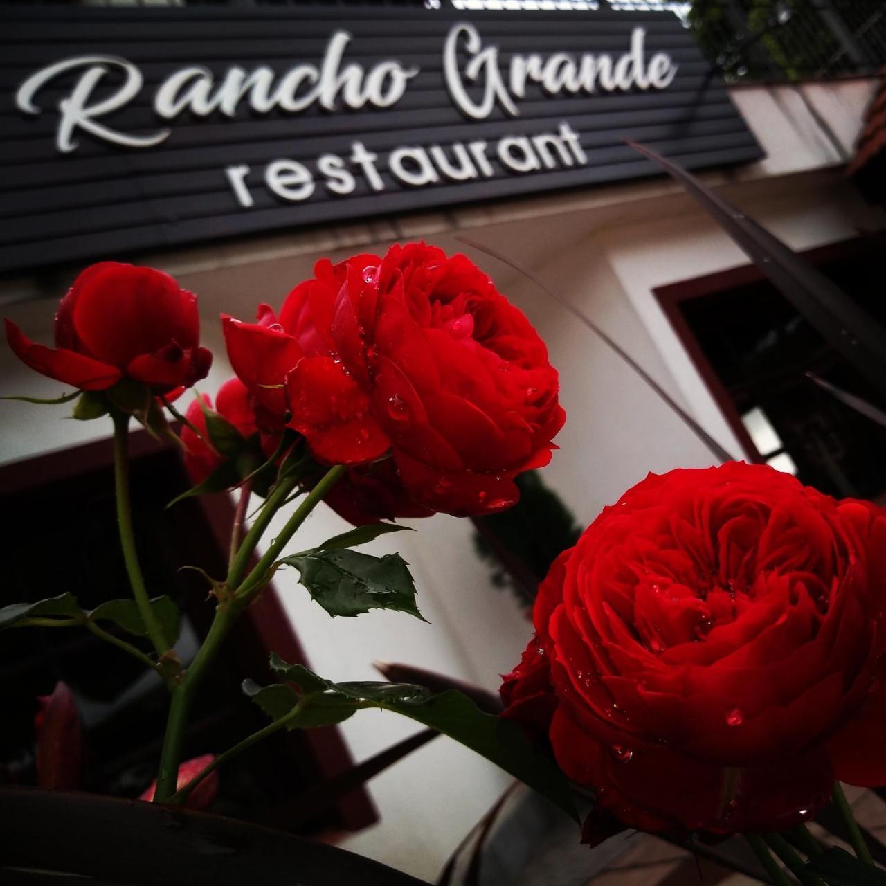 Rancho Grande Hotel Villa General Belgrano Eksteriør billede